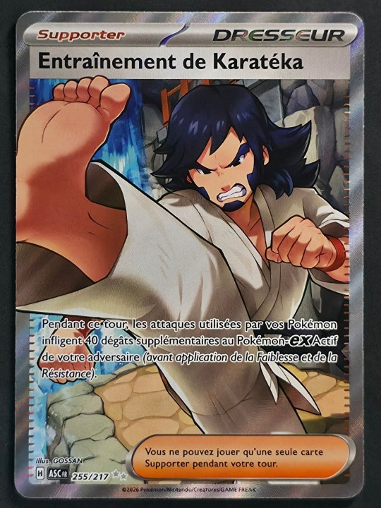 Entraînement de Karatéka 255/217 - Méga Évolution - Héros Transcendants